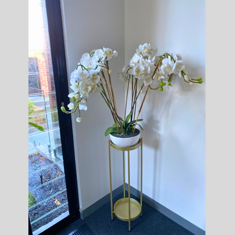 Artificial orchid plants