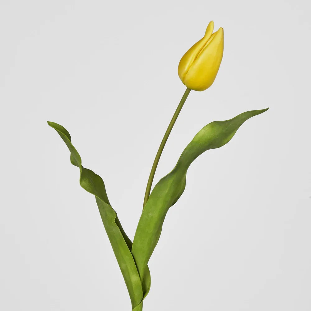 Tulip Stem Soft Touch 57cm Yellow Pack of 12 - Flora Designs Australia product image