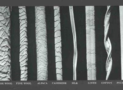 Electron micrograph of various animal fibres.