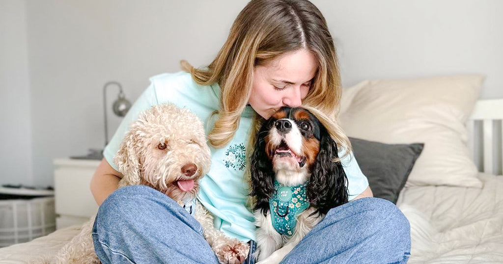 Reducing stress with dogs. Dog mum cuddles two cute dogs