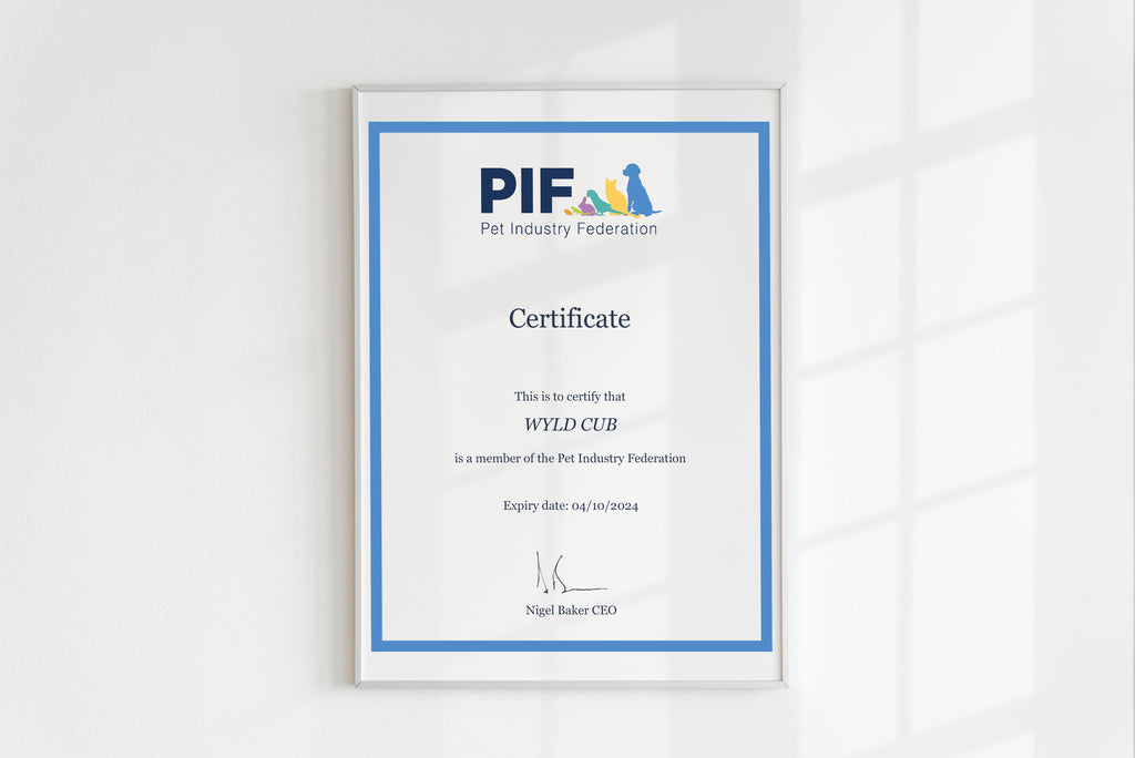 Wyld Cub Pet Industry Federation Certificate