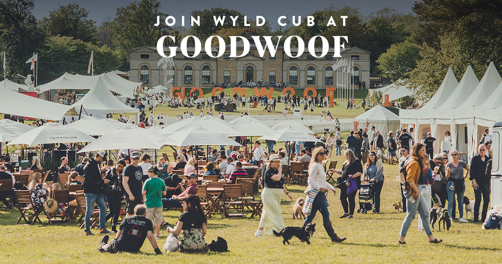 Wyld-cub-Goodwoof-goodwood-dog-event-2024-show-puppy-harness-collar-lead-labrador-poodle-dacshund