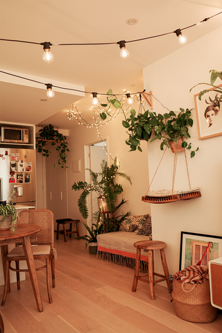 Boho-inspired home with many plant inside