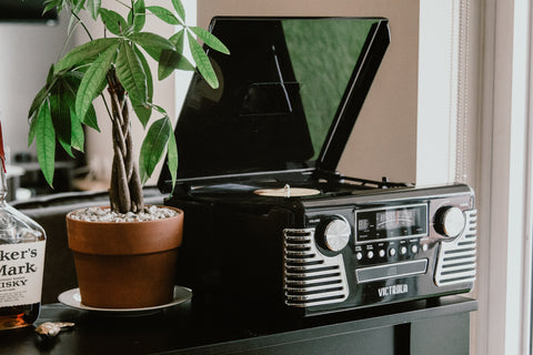 Snake plant delivered to a home and placed beside a record player.