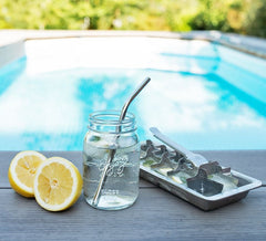 Sommer-Drink mit Zitrone Minze Eiswürfeln aus Edelstahl Eiswürfelformen