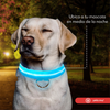 Collar Para Mascotas Con Luz Led Ajustable y Recargable Paseo Nocturno