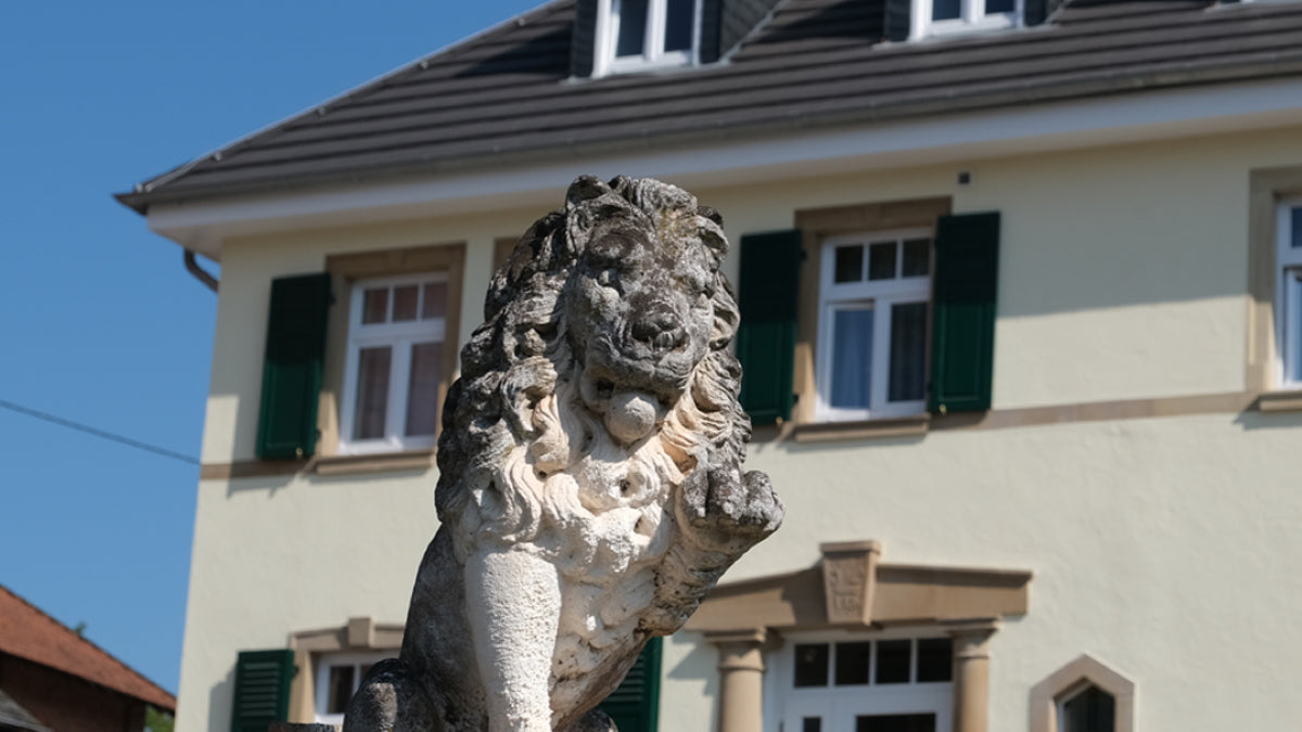 Weingut Schauß und Hotel Zur Stadtmühle