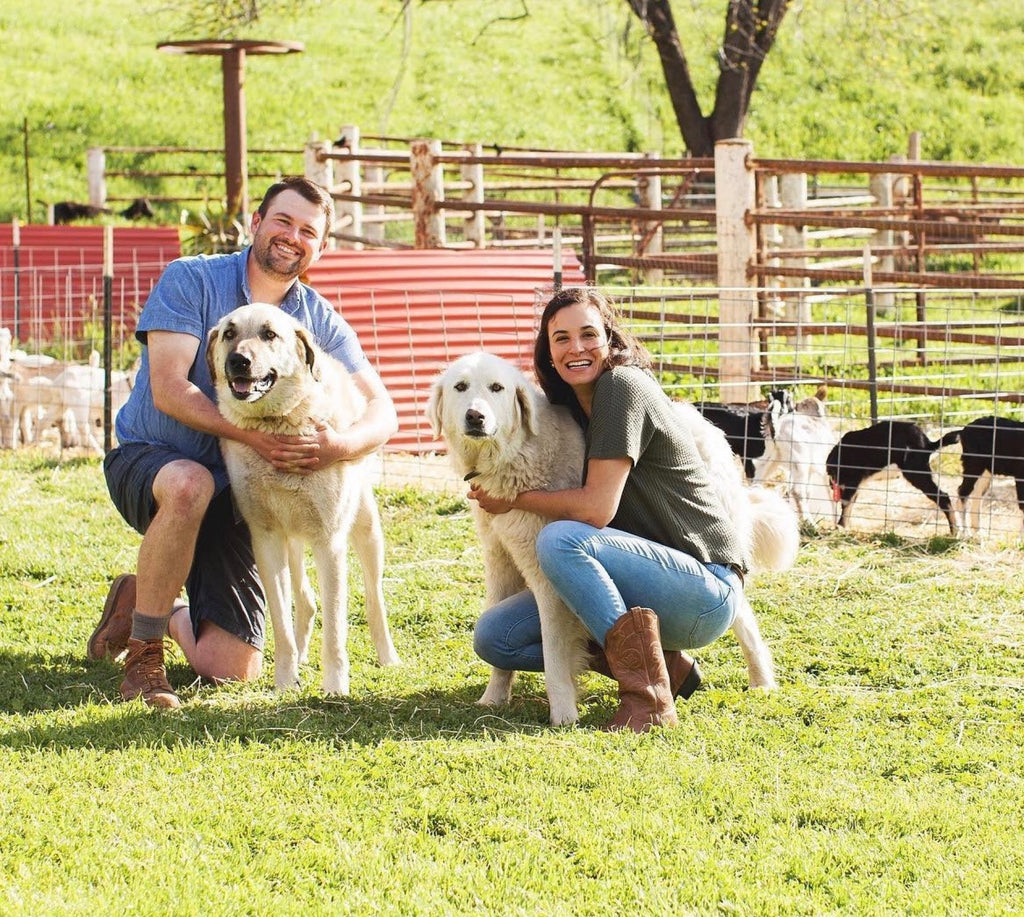 Stepladder owners Jack and Michelle with dogs Gus and Lily