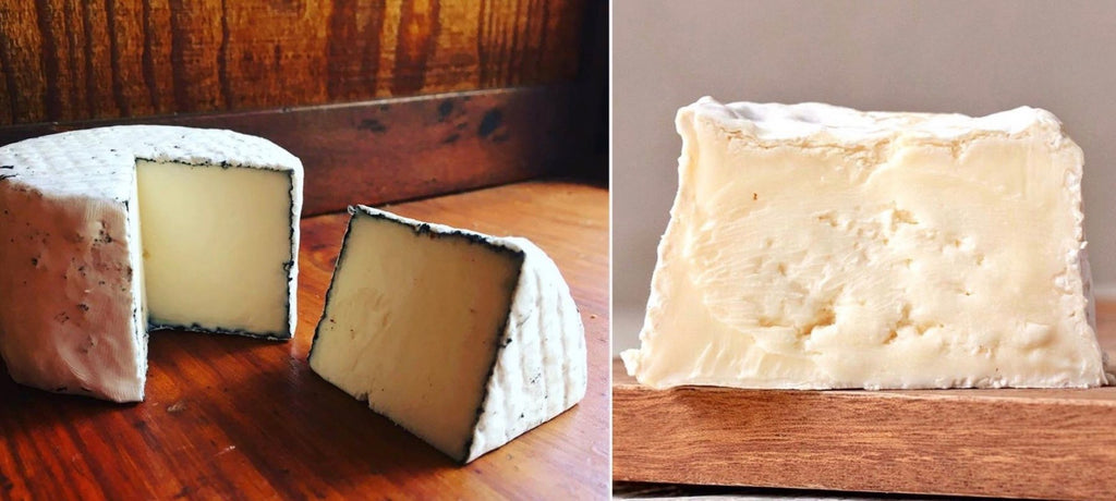 Close up shot of Big Sur cheese