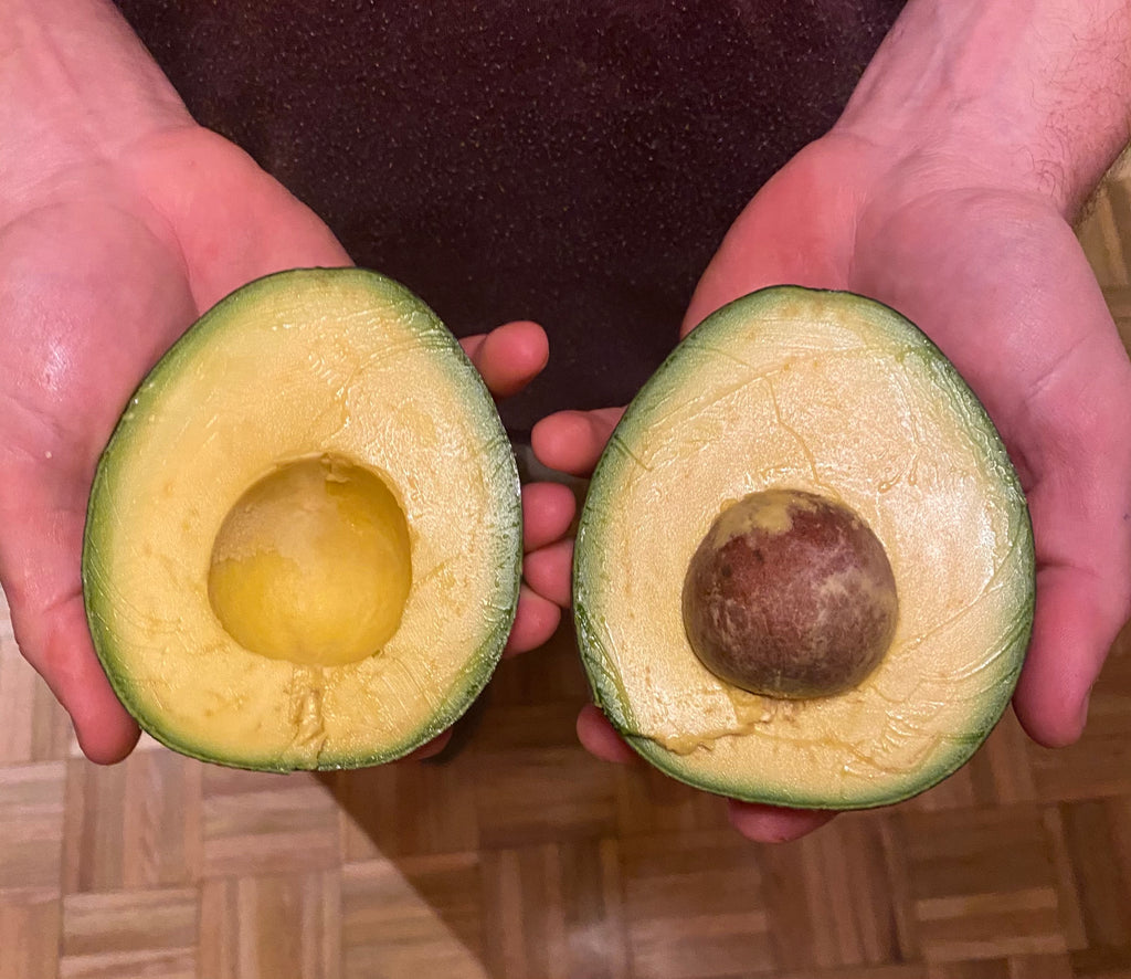 avocado cut in half