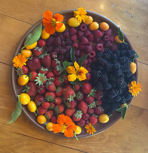 fresh picked berries