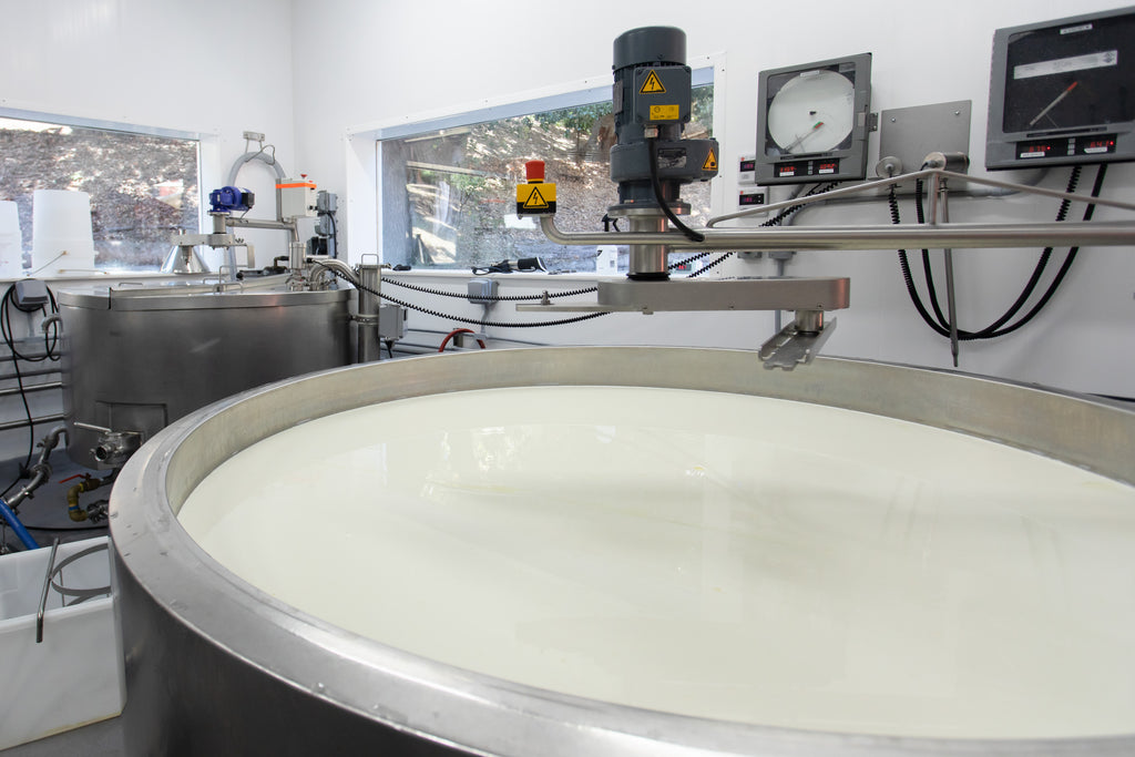 cheesemaking vat