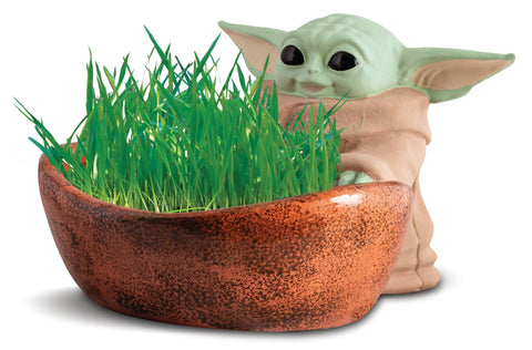 You Can Order the Baby Yoda Chia Pet, So You Can Grow Your Own Child