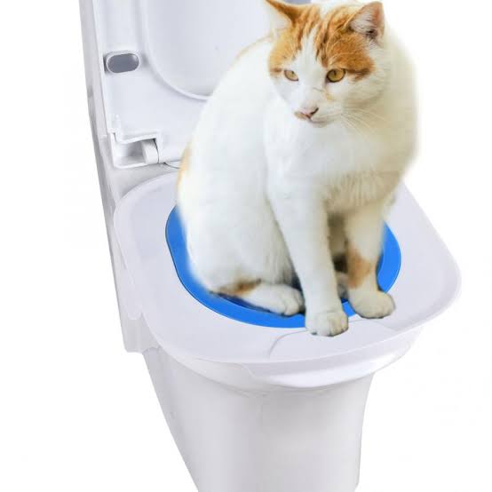 Mooie jurk storm militie Cat Toilet Training Seat – Laker Direct