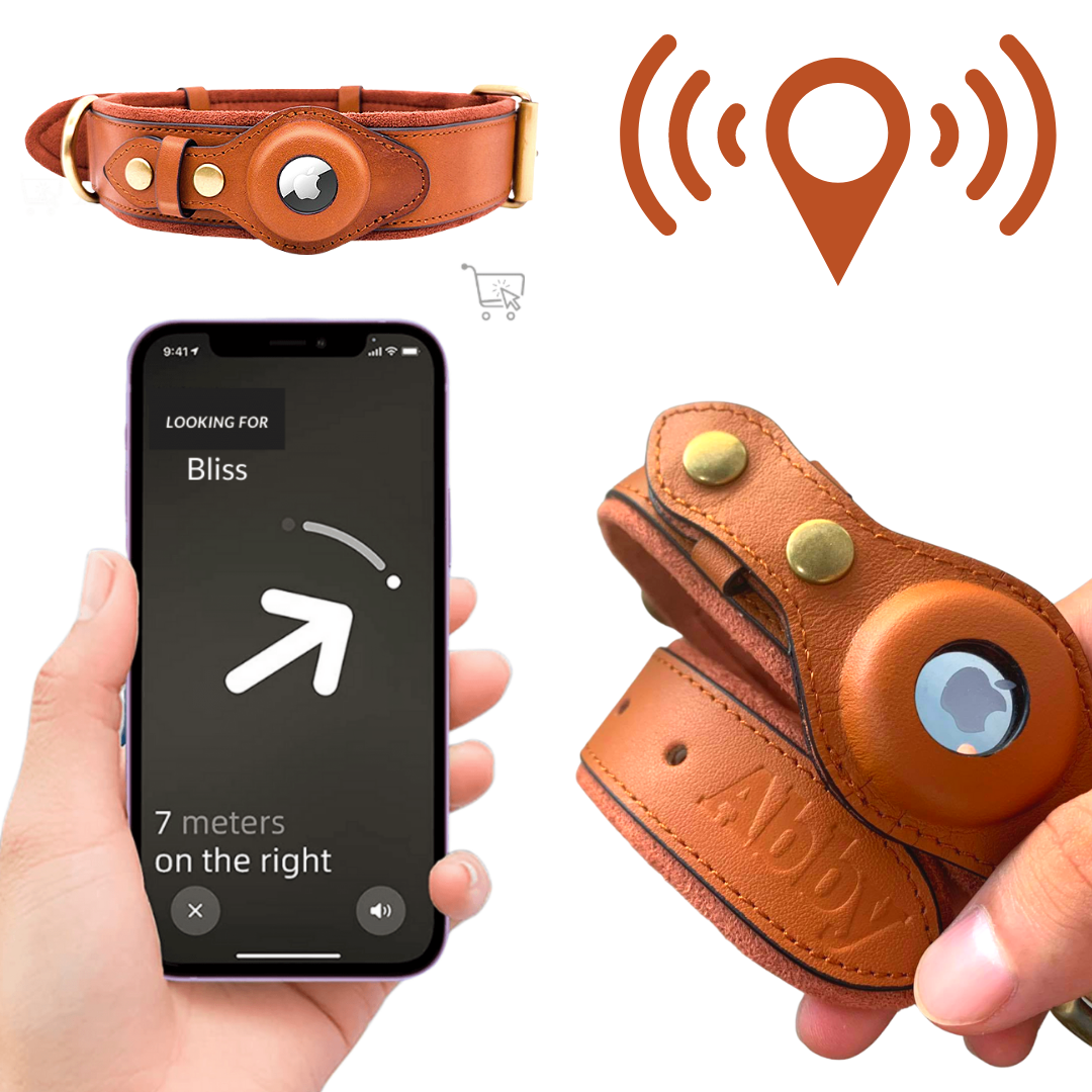 Abby’s Apple AirTag Dog Collar for your Pet, Leather - GPS Tracking