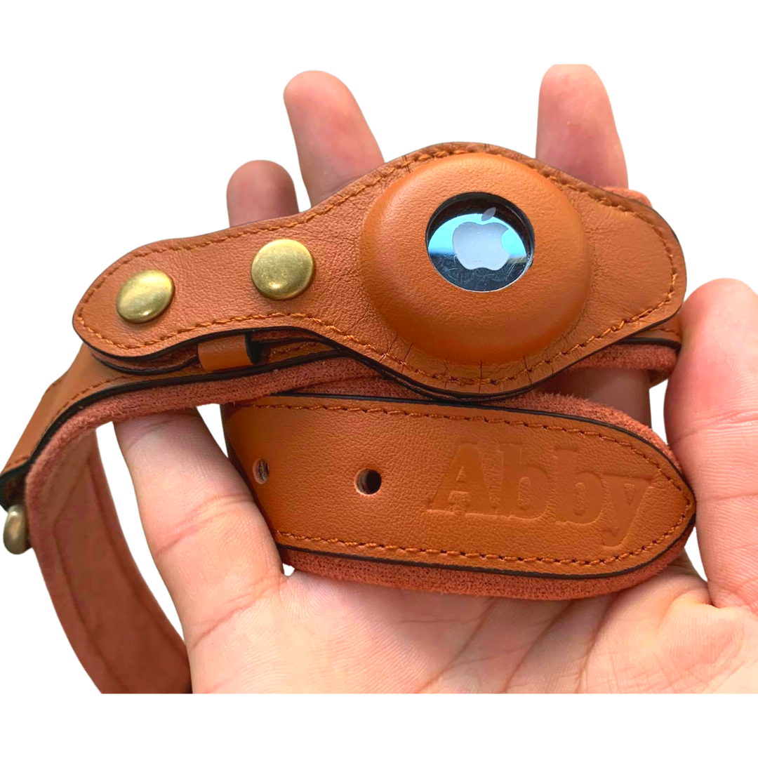 Abby’s Apple AirTag Dog Collar for your Pet, Leather - GPS Tracking
