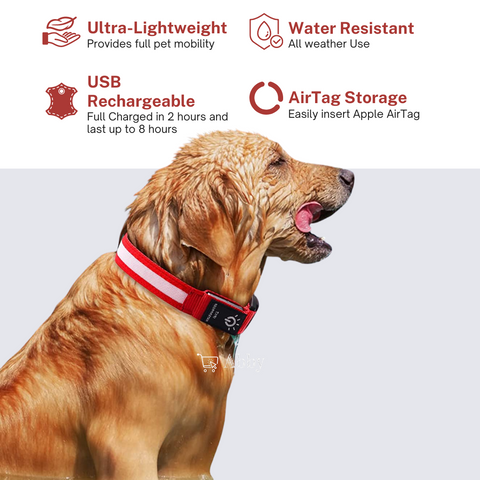 Abby's AirTag LED Light up Dog Collar, Apple Airtag for Dogs, Lighted Glowing Dog Collar