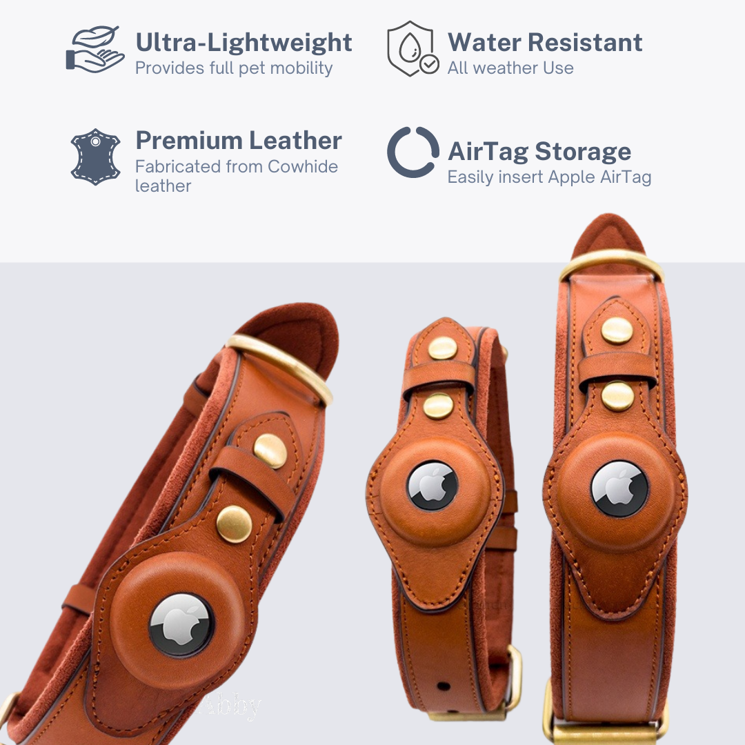 Abby’s Apple AirTag Leather Dog Collar for your Pet - GPS Tracking