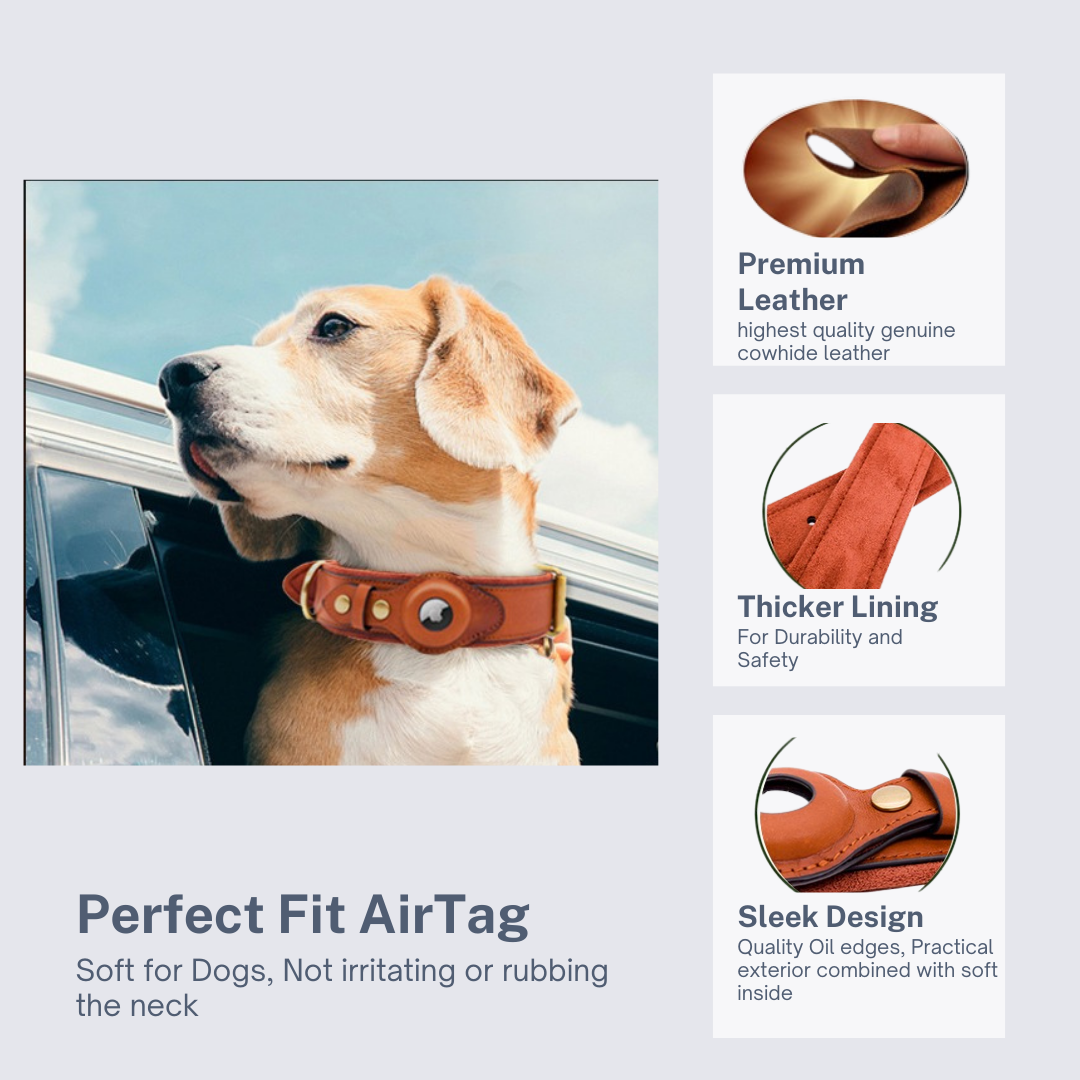 Abby’s Apple AirTag Leather Dog Collar for your Pet - GPS Tracking