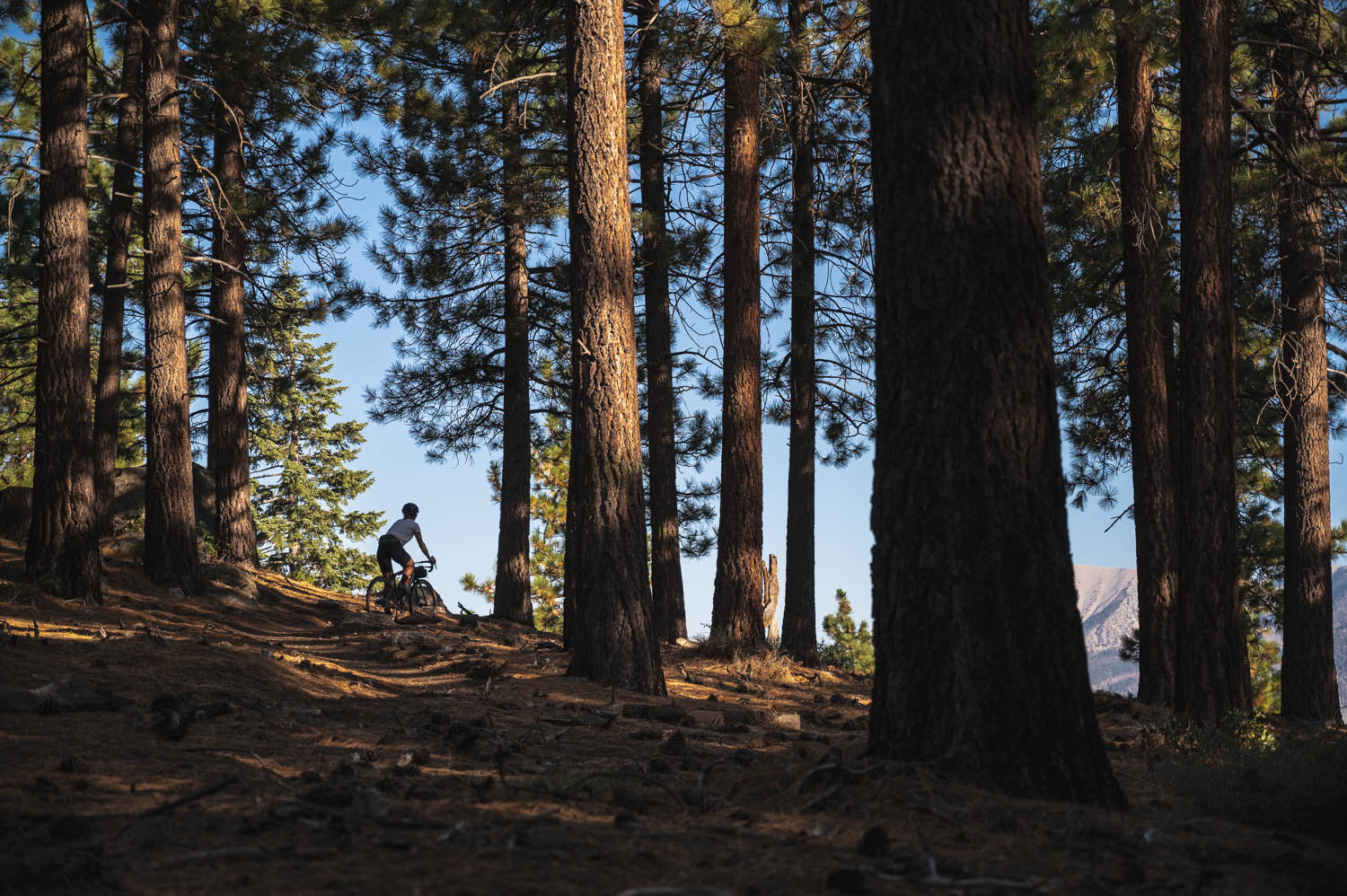 Gravel riding Big Bear Lake 