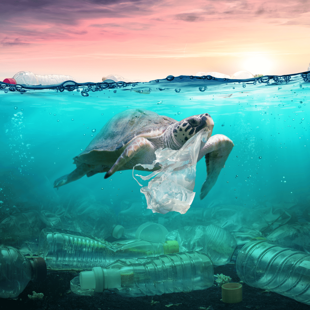contaminación plástico océanos