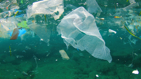 plastic waste floating in the ocean