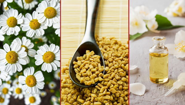 Chamomile, Fenugreek and Jasmine Oil