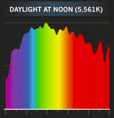 Daylight spectrum at noon