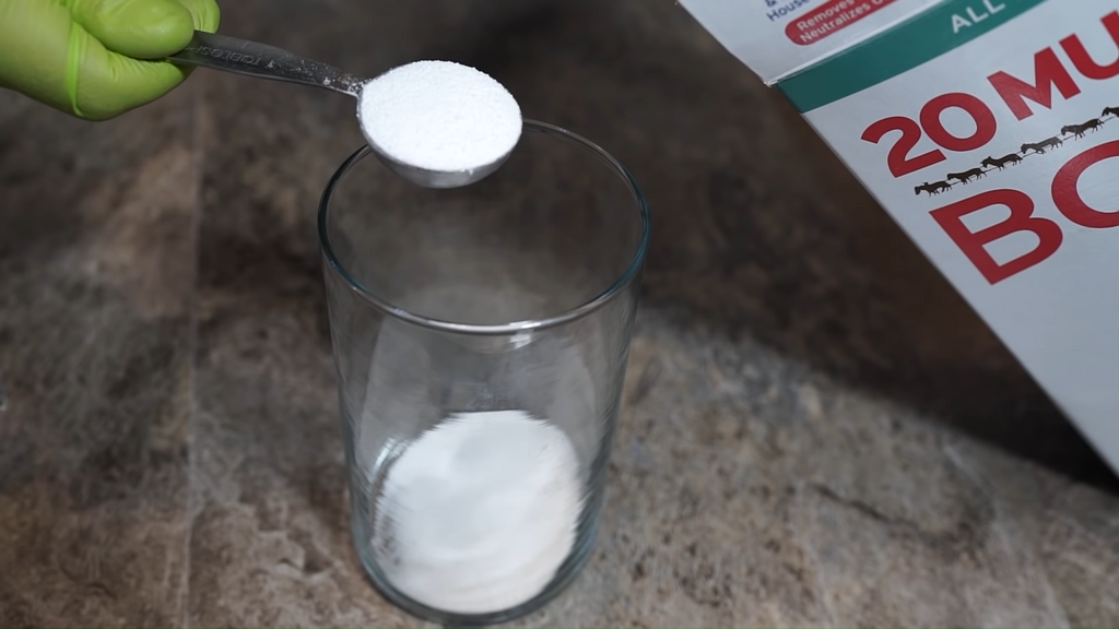 sugar and borax mixture to kill ants