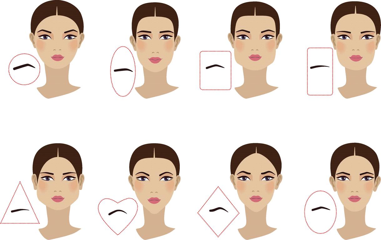 Which eyebrows for which face shape