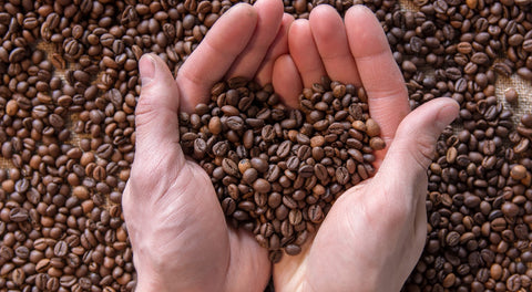 A handful of coffee beans