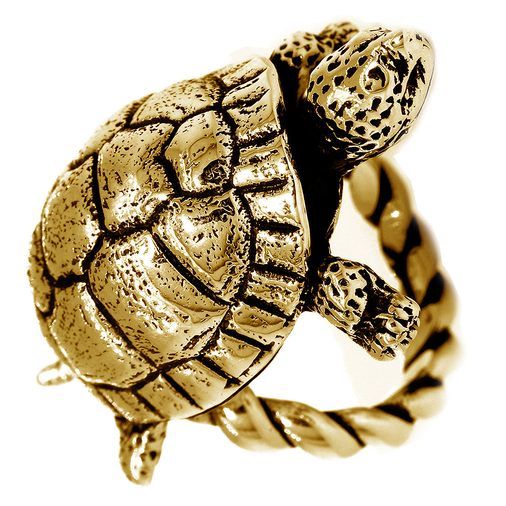 Ridley Sea Turtle Ring 14k Gold – VARGAS GOTEO JEWELRY