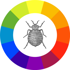 bed bug inside a color wheel