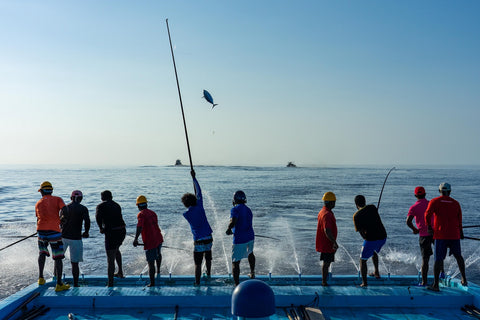 Maldives Fishers