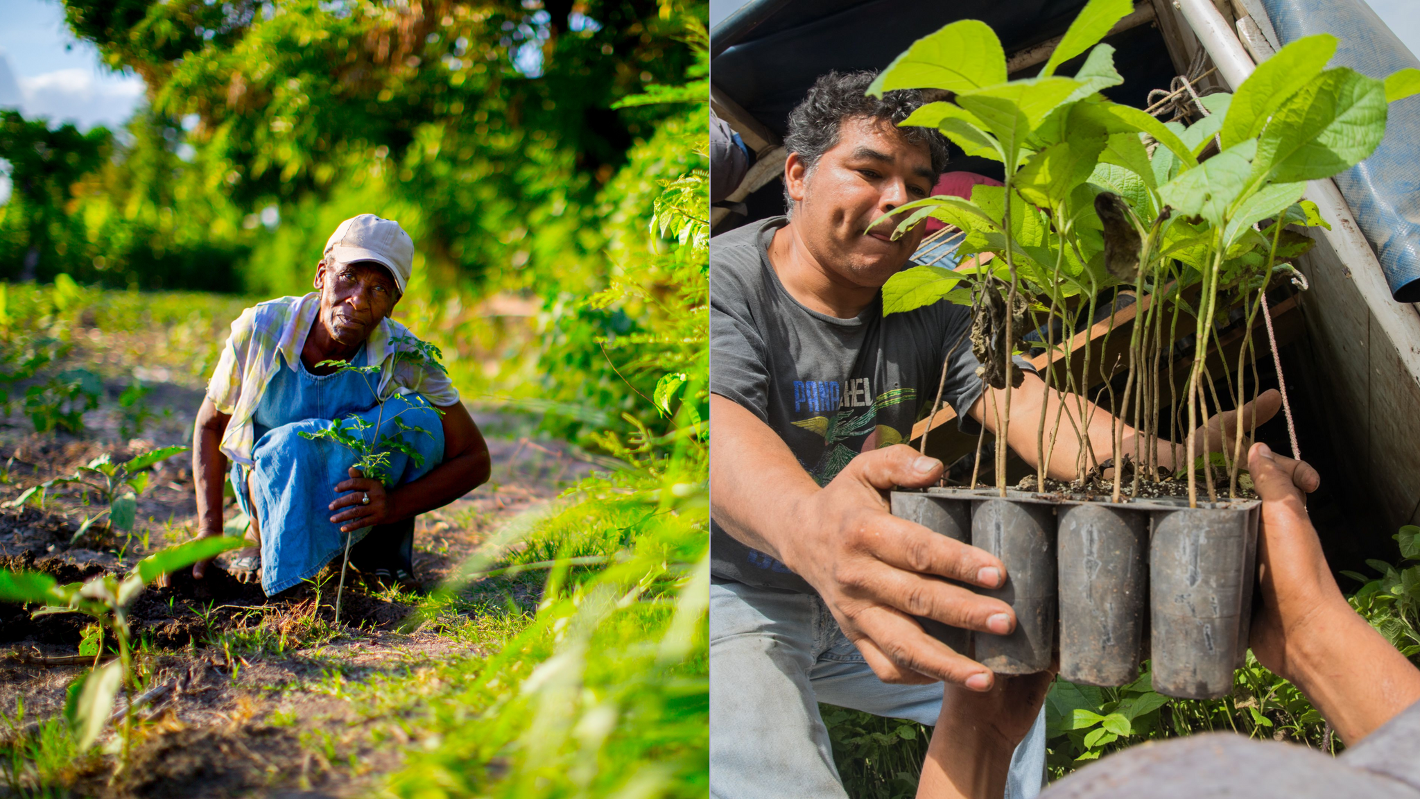 Semilla & Everly - Cacao Farmers