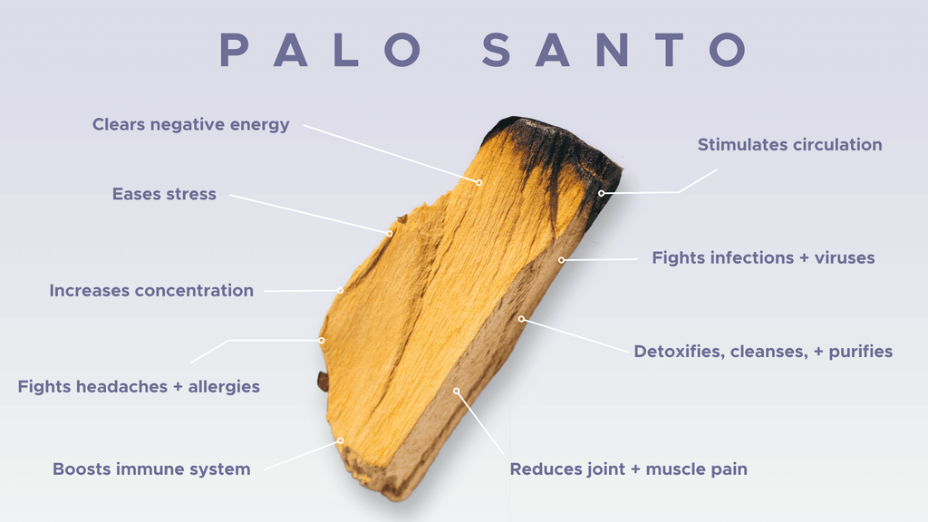 Everly Clean Candle Refill Kits | Palo Santo + Sage (More Than Just a Fad) -  Benefits of Palo Santo Aromatherapy