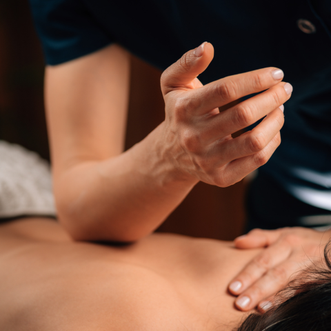 Choosing The Right Massage Therapist