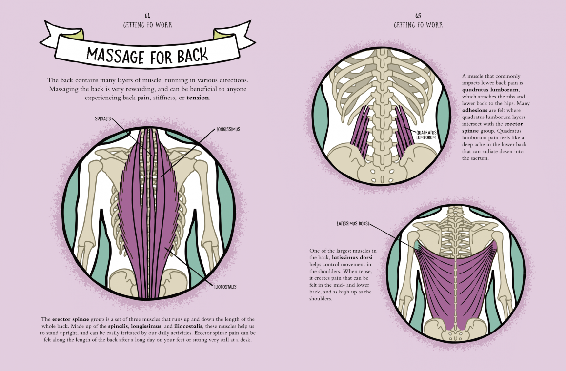 Simple Massage Techniques With Illustrations for Beginners