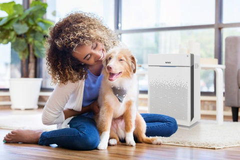 air purifiers for pet related asthma symptoms