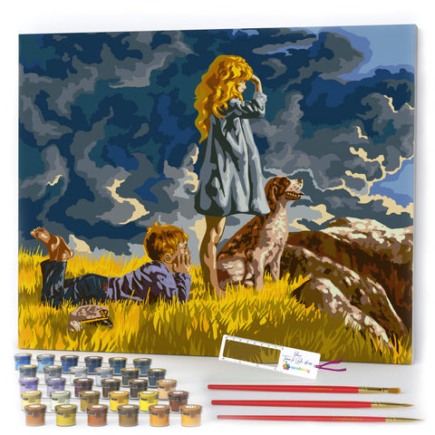  Paint by Numbers for Adults with Framed Canvas - DIY Full Set  of Assorted Color Oil Painting Kit and Brush Accessories - Sky Plane,16X20  : Everything Else