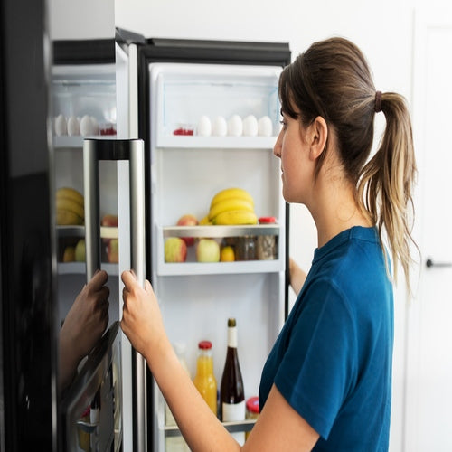 How to Size Your Solar Generator for Running a Refrigerator - Anker US