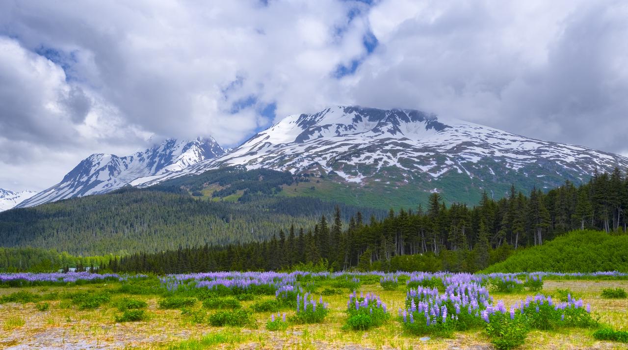 Chugach National Forest | BLM Camping