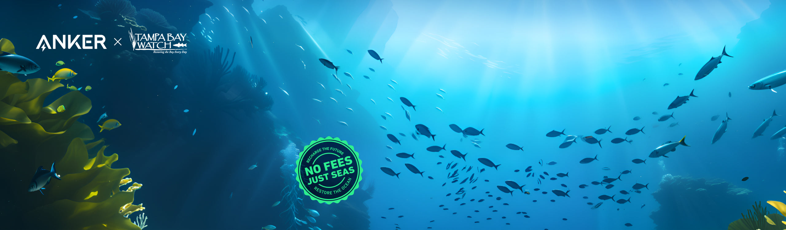 Join Anker's Free Florida Ocean </br>Protection Expedition!