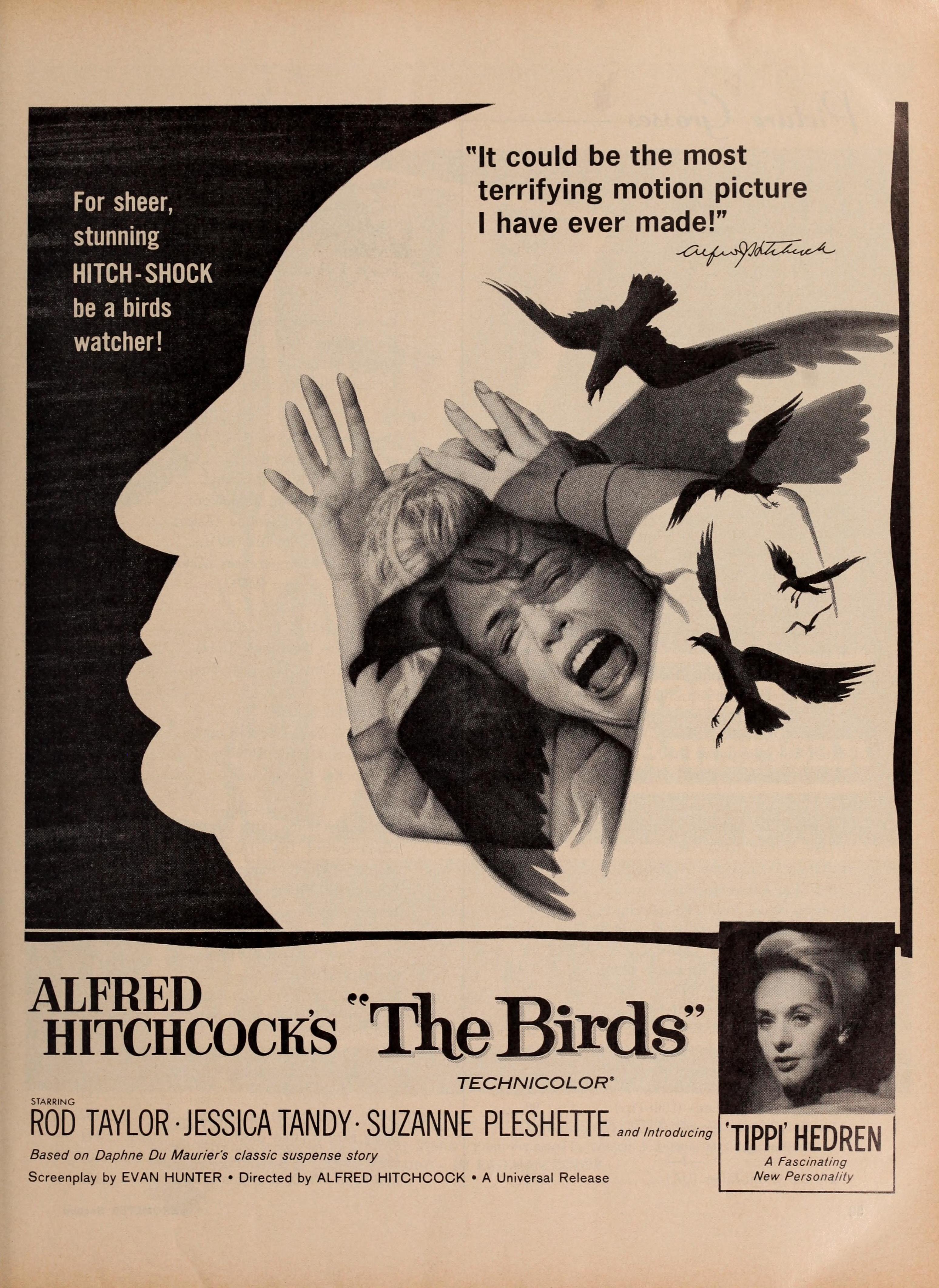The Birds (1963) | www.vintoz.com