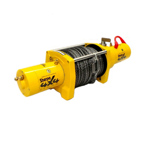 Dual Motor Winch