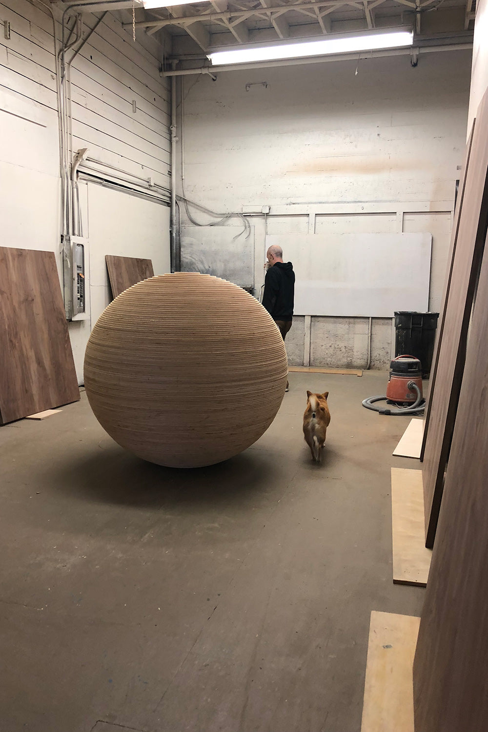 Picture of stacked lamination ball shown in studio next to dog for scale