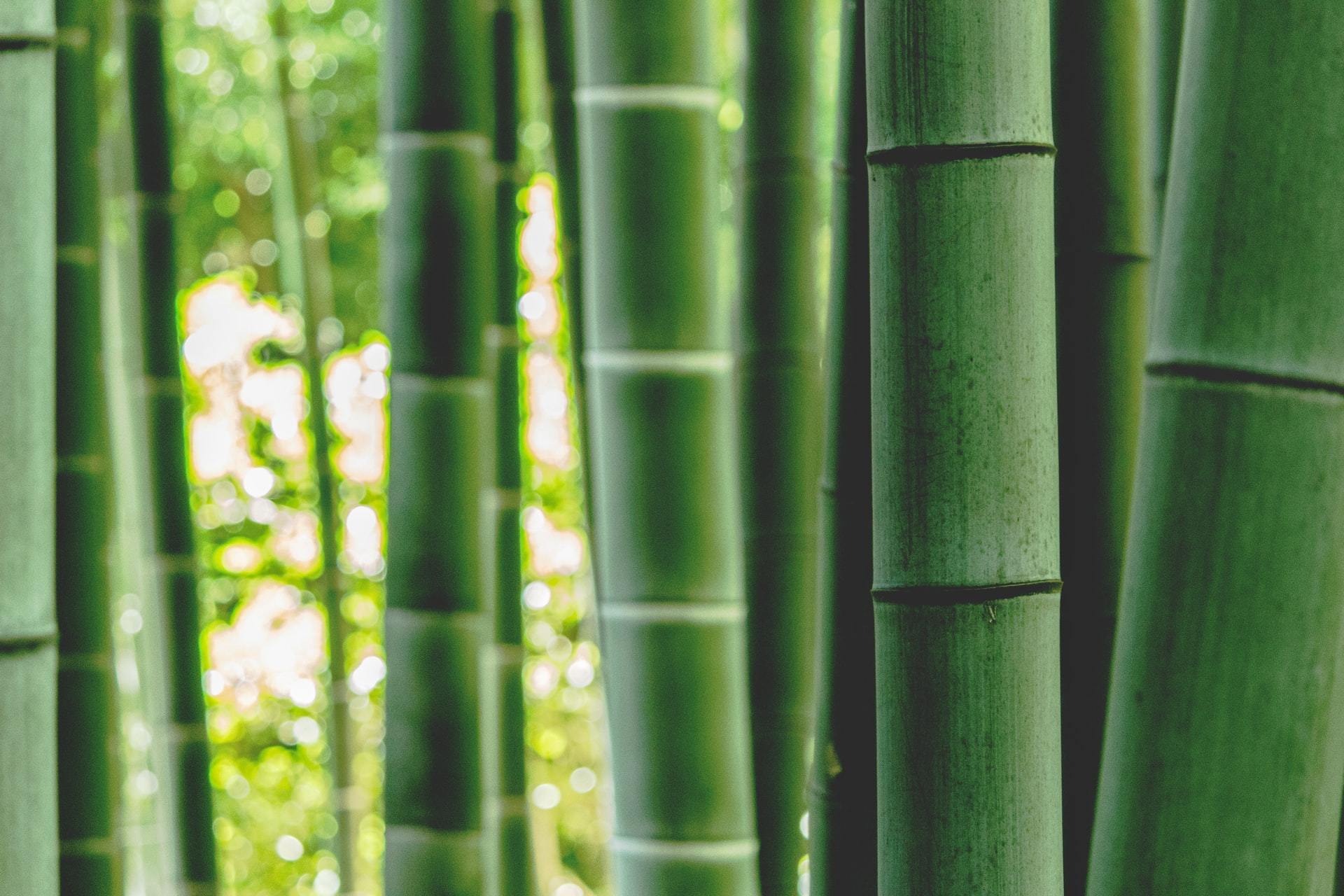 100 % Bamboo