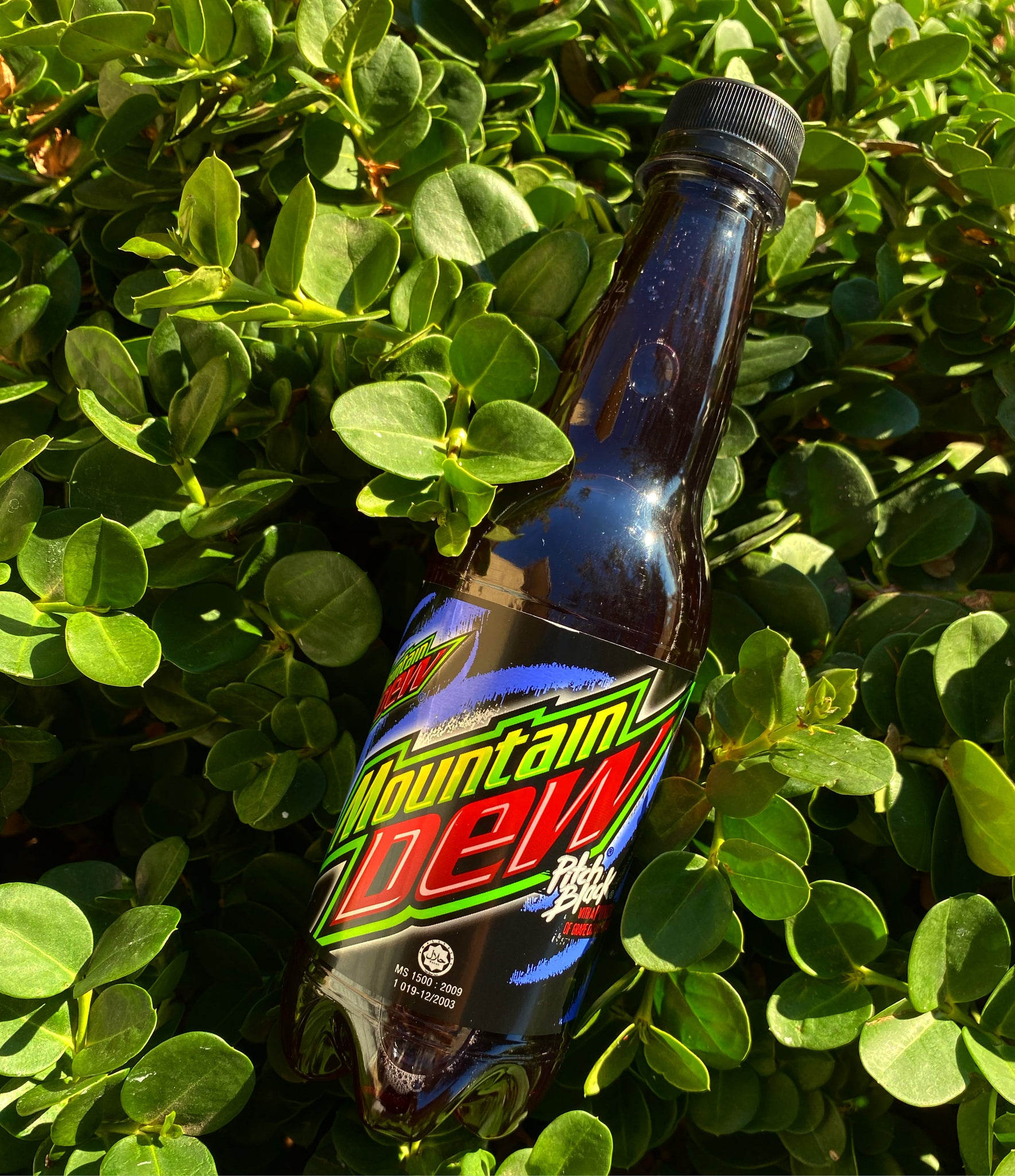 Mountain Dew Pitch Black (Malaysia) Dank Drankz