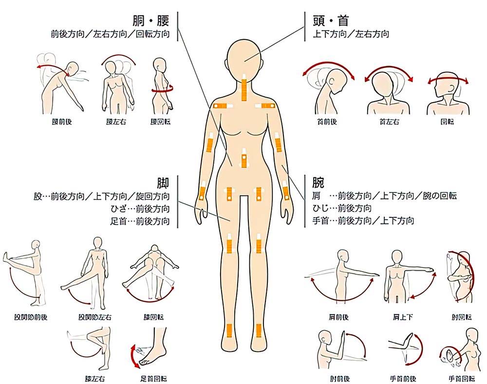 だっちわいふ関節可動域＿ラブドールおすすめ＿ラブドール通販