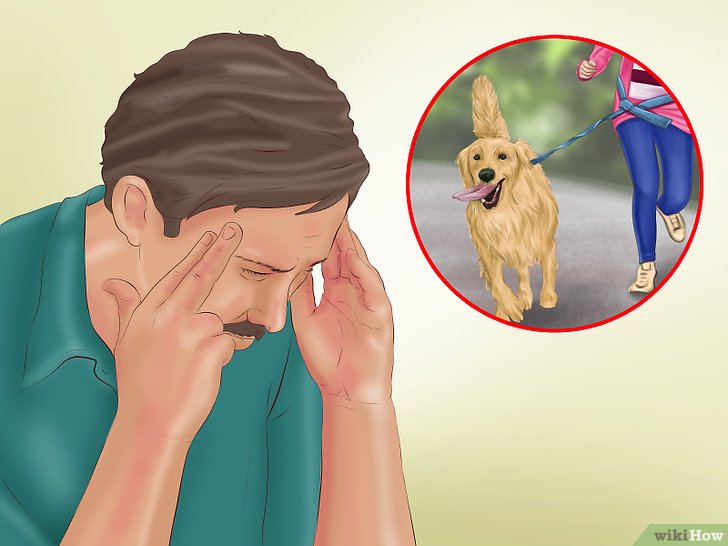 Bước 5: Để có những buổi tập hiệu quả với chó, bạn cần phải chuẩn bị tâm lý tốt.